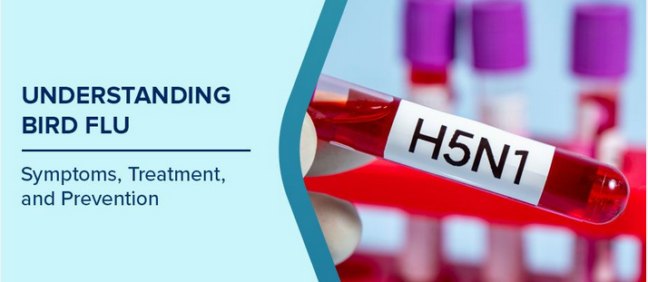 H5N1 Bird Flu Virus (Avian Influenza) Symptoms Treatment
